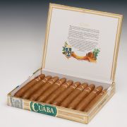Cuaba Distinguidos - Pack of 10